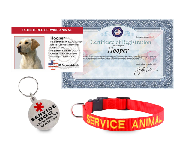 US Service Animals View Product