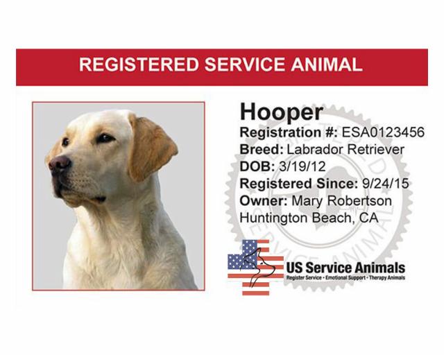 US Service Animals View Product